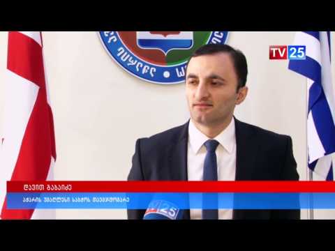 საკონსტიტუციო კომისიაში აჭარიდან დავით გაბაიძე იმუშავებს