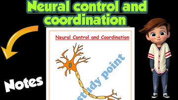 | Neural control and coordination |Best notes |Class 11| Biology | Ch-21 | @Edustudy_point