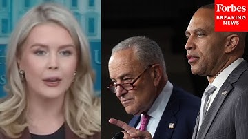 Leavitt Alleges Dems 