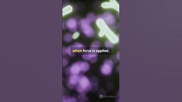 Revolutionary DNA Sensor Detects Cellular Forces! #sciencefather #teachers #researchscholar