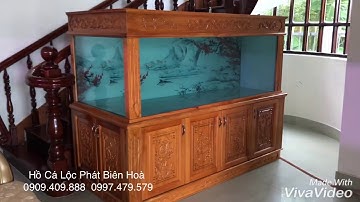 Hồ cá rồng 2m lắp đặt tại nhà chú Trí Vĩnh Long .