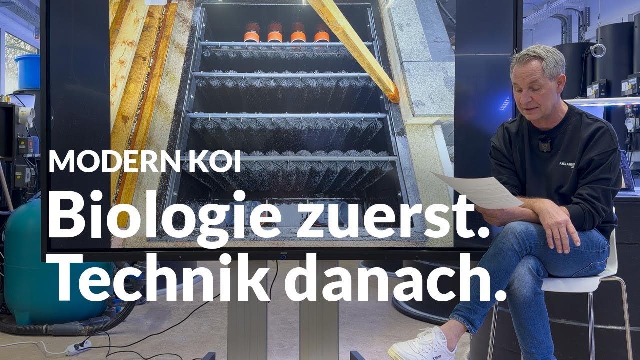 UV in der Innenhälterung: ist hier ein Bypass sinnvoll? | Modern Koi Blog #7948