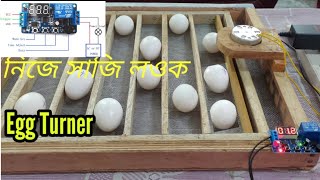Mini egg turner incubator || auto egg turner || Turning tray || Sg Rangpur