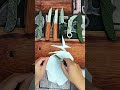Satisfying Linkage Folding Knife Action! EDC with Finger Ring & Mechanical Unboxing
