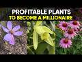 10 High-Profit Plants Most Gardeners Ignore !🌱