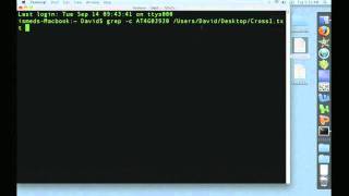 Using the Terminal 4: A Sample Data Analysis