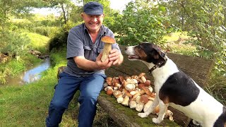 We collect porcini mushrooms in the rain - wet, hard, but the mood is wonderful!