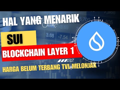APA ITU SUI, UNTUK TAHUN 2024 APAKAH MENARIK?, HARGA BELUM TERBANG TVL TERUS NAIK