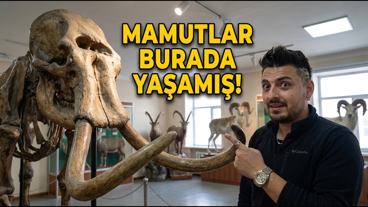 Moğolistan’ın Kuzeyinde Gerçek Vahşi Yaşam! Mamut Bile Yaşamış