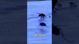 This Hotel in Aix-en-Provence Sucked!