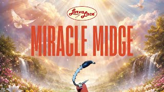 ⚠️ The Fly Trout CAN’T Ignore ⚠️ | Tying the Miracle Midge.  You NEED this fly! Larva Lace Fly Tying