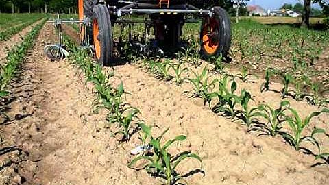 ROTOSARK BINEUSE WEEDING MACHINE DESYERBADORA HACKMASCHINE