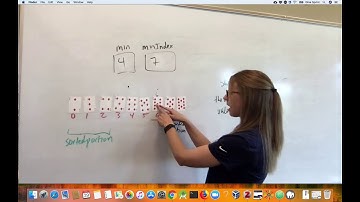 Introduction to Sorting Arrays and Vectors using Selection Sort in C++