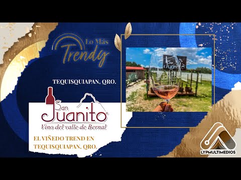 Vitivinícola San Juanito, el lugar perfecto para estar en el campo, a lado de un viñedo