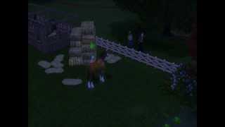 Meteorite hit my Sim, the dog saved her screenshot 5