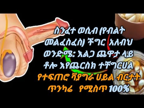 ቪዲዮ: ኢንግሪድ በርዳል: የሕይወት ታሪክ, ፈጠራ, ሙያ, የግል ሕይወት