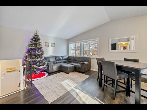 8181 Janero Avenue South, Cottage Grove, MN home video tour