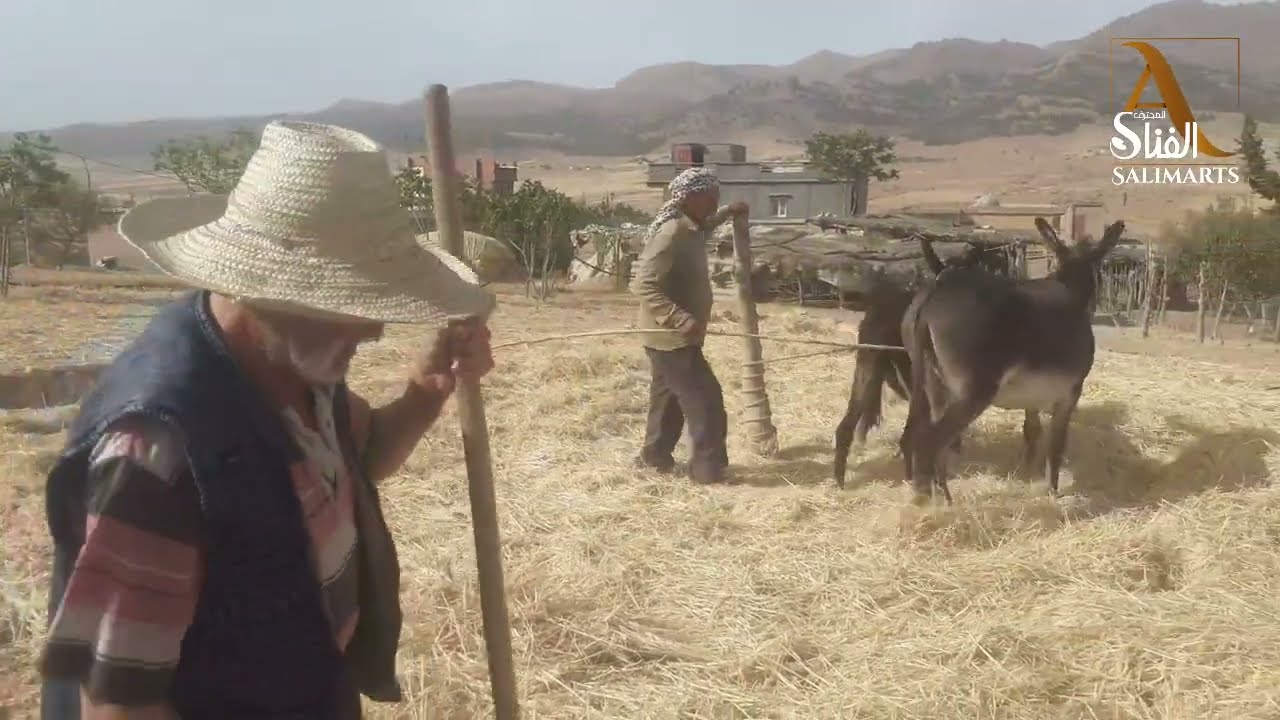 عمي مجيد وعمي محمد -في طريقة عملية الدرس التقليدي -القيقبة -اولاد ضيف الله