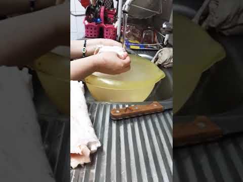 الكوارع المصرية وسع يالا البابا جيه