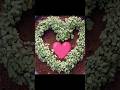Heart Shape Created With Seeds 💞 Beautiful Love