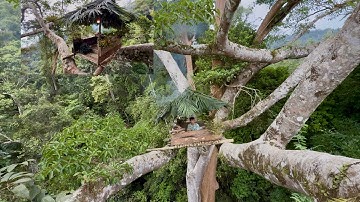Building The Tallest Treehouse In The Forest – And This Is The Result…