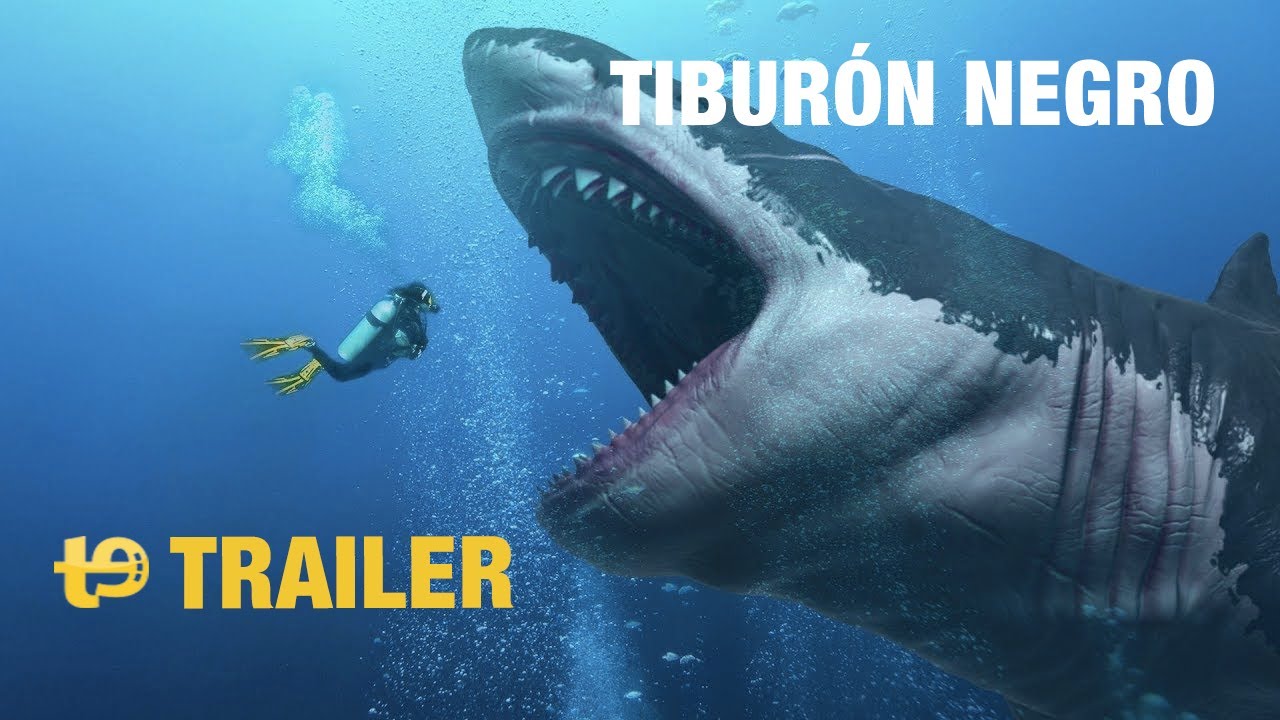 Tiburón negro Trailer español YouTube
