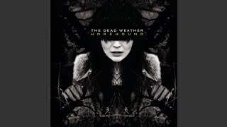 Video thumbnail of "The Dead Weather - Will There Be Enough Water?"