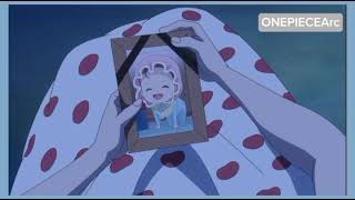 Señor Pink Backstory