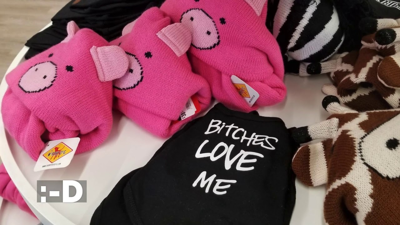 Fetch Pet Boutique in Great Falls YouTube