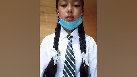 Virtual Presentation by Students of Class X