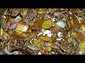 Mississippi Pot Roast Ninja Foodi Smart Lid Keto Low Carb Recipes