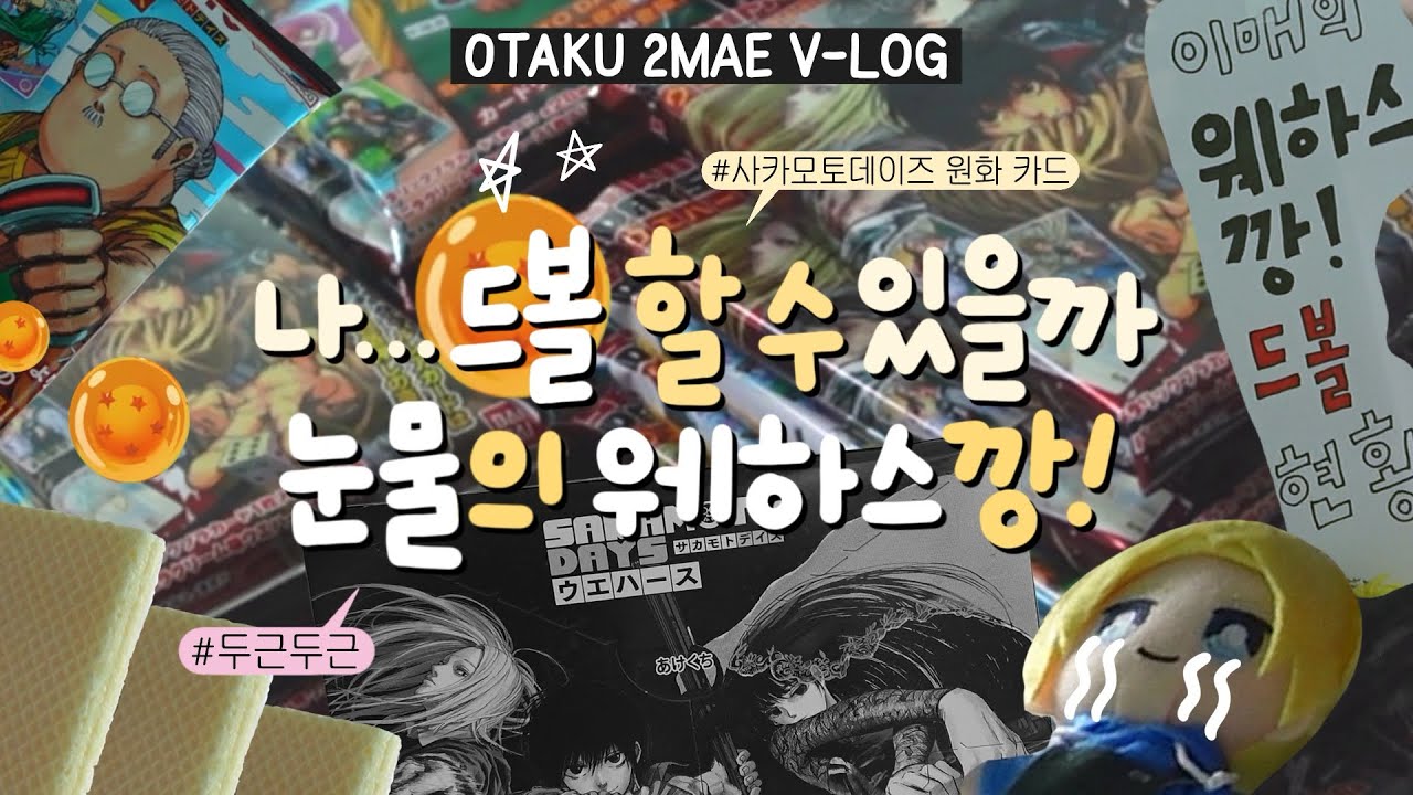 오타쿠 생애 첫 웨하스 박스깡 도전 | 사카모토 데이즈 원화 카드 | 가자! 드볼을 향해