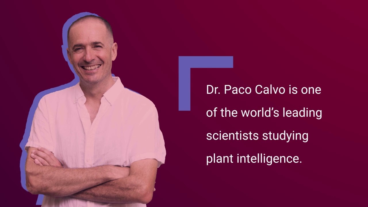 The Surprises of Diverse Intelligences