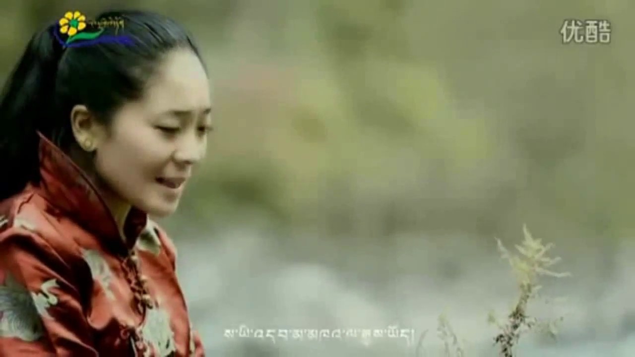 tibetan terrier Sergyi Metog by Hortsang Lhalung Tso ཧོར་གཙང་ལྷ་ལུང་མཚོ། གསེར་གྱི་མེ་ཏོག།