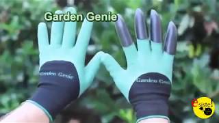Siena Garden 945912 Guanti da giardinaggio Lattice Nylon Porpora guanto protettivo 