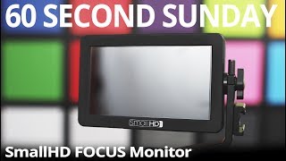 SmallHD FOCUS (Review) - 60 Second Sunday 🎥