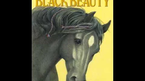 "Black Beauty" by Allison Leahy