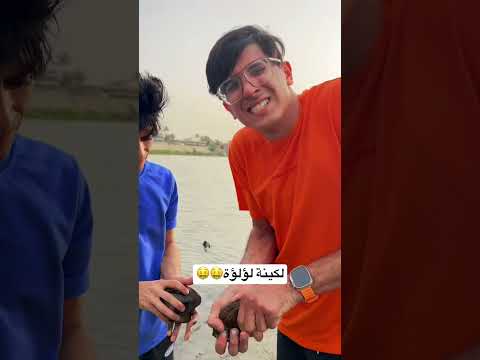 لكينة لؤلؤة