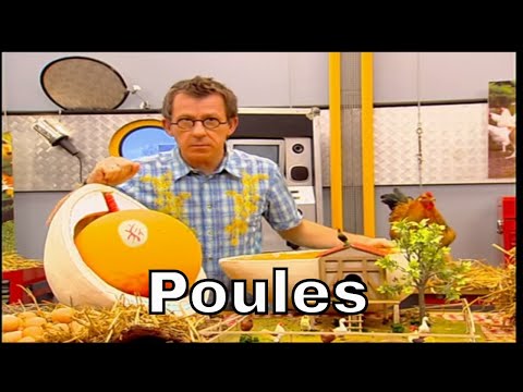 Vidéo: Quand les roitelets pondent-ils des œufs ?