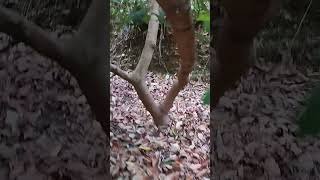 Sonbahar Mı? Geldi Resimi