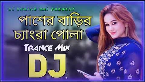 paser barir chengra pola (Tiktok viral) | Remix | Trance Remix | Bangla Dj Song 2022 | DJ PARTHO RAJ