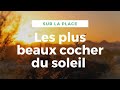 Relaxation Avec Des Coucher Du Soleil Belle Musique Relaxation Avec Des Coucher Du Soleil Belle Musique