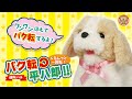 バク転 平八郎！！(通称:ハチ) / おもちゃ屋さんの倉庫★商品紹介