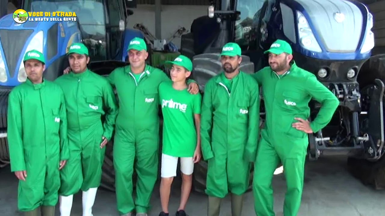 Voce di Strada. Aziende e Territorio, caseificio 