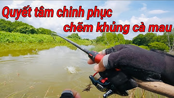 Hành trình săn chẽm khủng cà mau tập 2