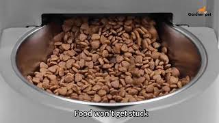 PETLIBRO Automatic Cat Feeder, 5G Wi-Fi Automatic Dog Feeder Global Discount Network