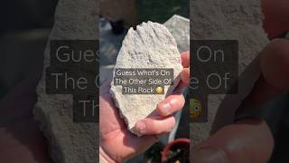A million crystals ๐คฉ We love finding clusters like this! Hammered out of rock. #shorts #crystals