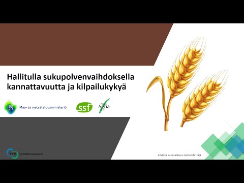 Video: Mitä itsereflektori on neuvonnassa?