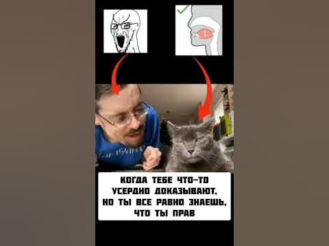 🤫🧏 #мем #мемы #мьюинг #shorts - YouTube