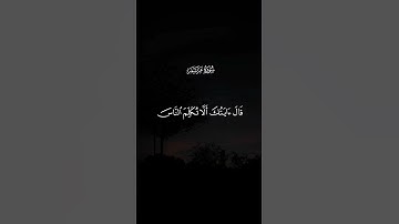 سورة مريم القارئ : سعود الفايز #quran #كهيعص #قرآن